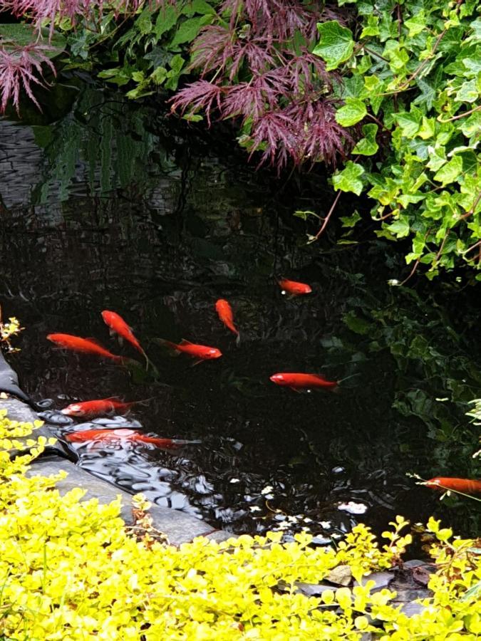 Tropical Garden Oasis Rooms 버밍엄 외부 사진